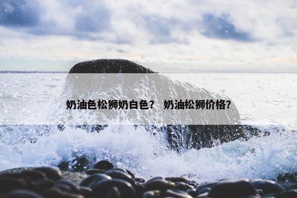 奶油色松狮奶白色？ 奶油松狮价格？