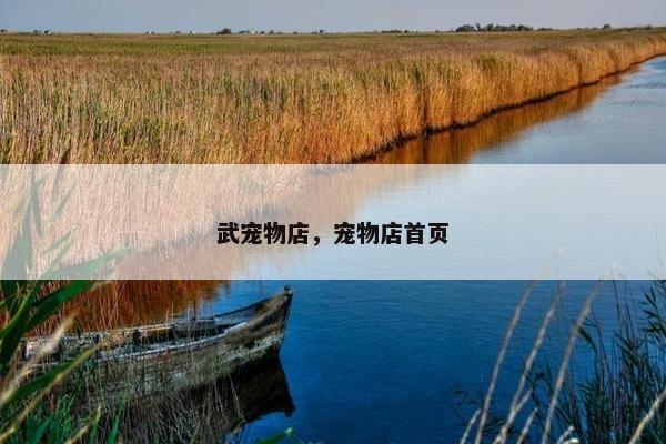 武宠物店,宠物店首页