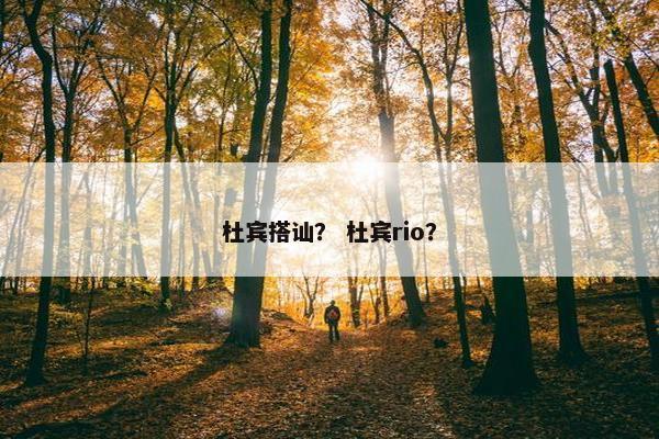 杜宾搭讪? 杜宾rio?