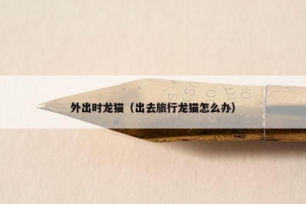 外出时龙猫(出去旅行龙猫怎么办)