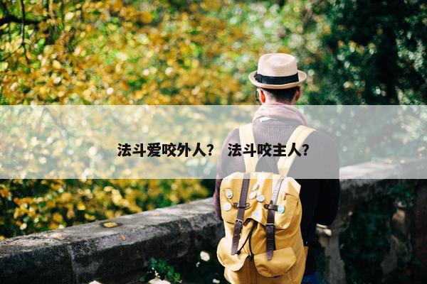 法斗爱咬外人? 法斗咬主人?