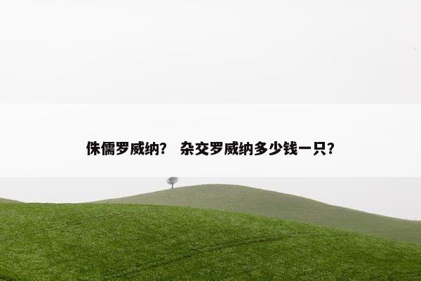 侏儒罗威纳? 杂交罗威纳多少钱一只?