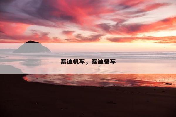 泰迪机车,泰迪骑车