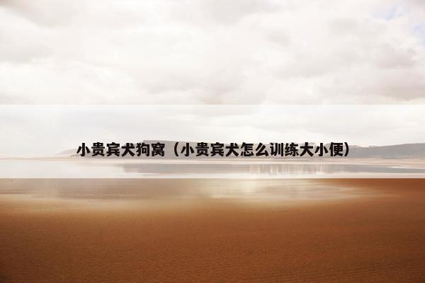 小贵宾犬狗窝(小贵宾犬怎么训练大小便)