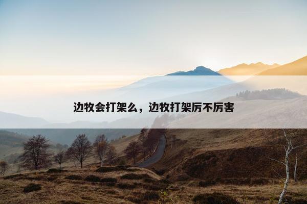 边牧会打架么,边牧打架厉不厉害