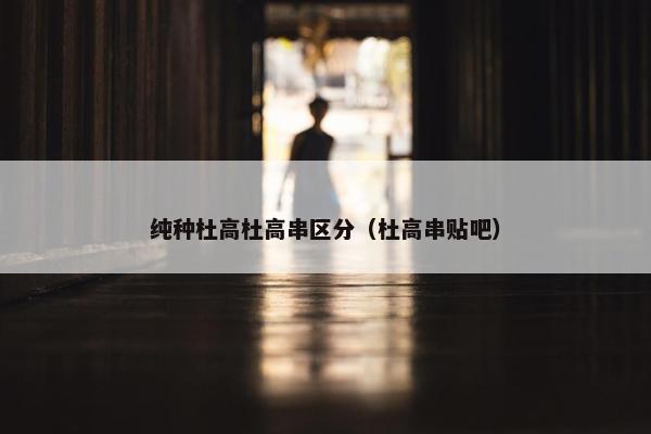 纯种杜高杜高串区分(杜高串贴吧)