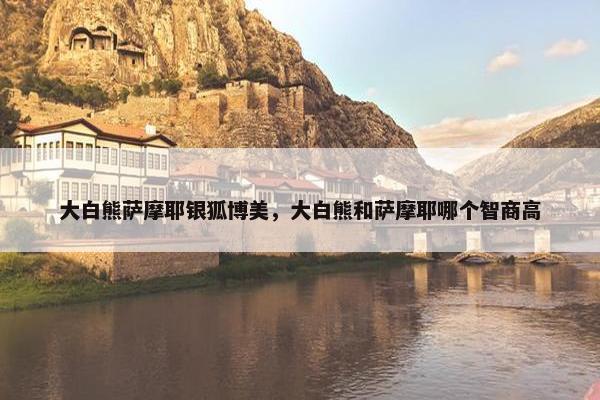 大白熊萨摩耶银狐博美,大白熊和萨摩耶哪个智商高