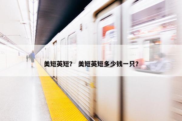 美短英短? 美短英短多少钱一只?