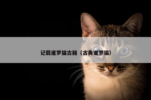 记载暹罗猫古籍(古典暹罗猫)