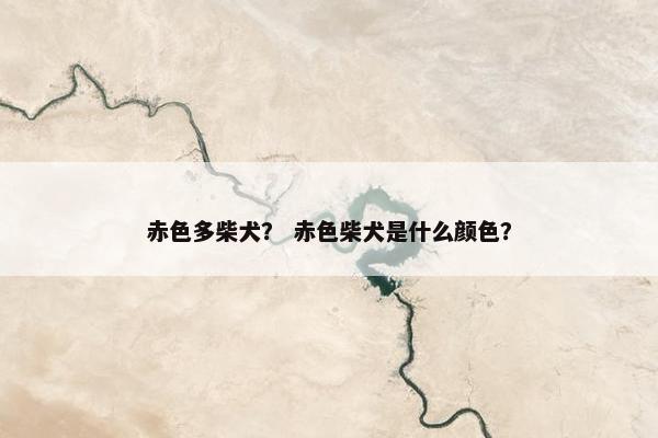 赤色多柴犬? 赤色柴犬是什么颜色?