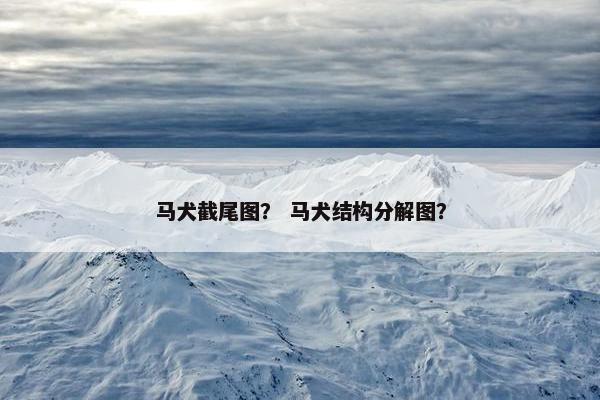 马犬截尾图? 马犬结构分解图?