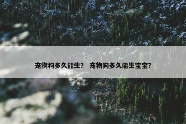 宠物狗多久能生? 宠物狗多久能生宝宝?