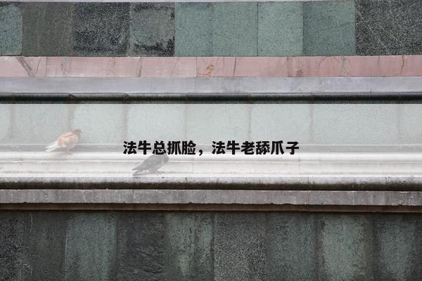 法牛总抓脸,法牛老舔爪子