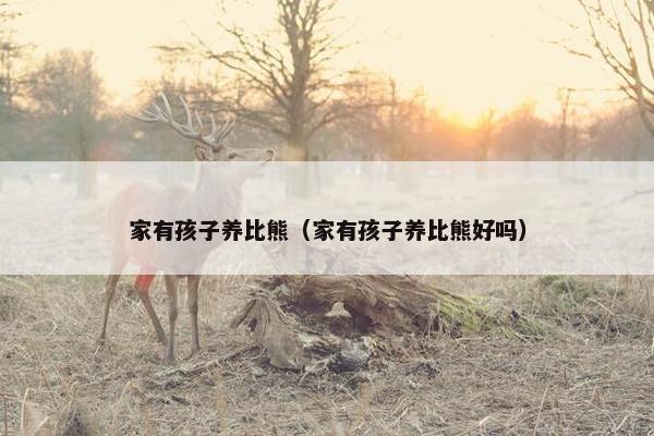 家有孩子养比熊(家有孩子养比熊好吗)