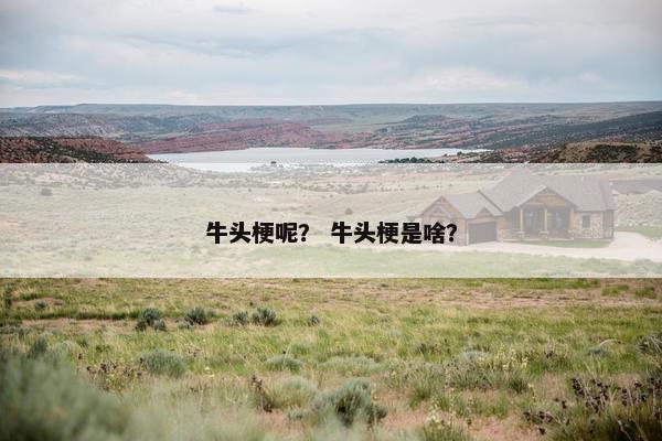 牛头梗呢? 牛头梗是啥?
