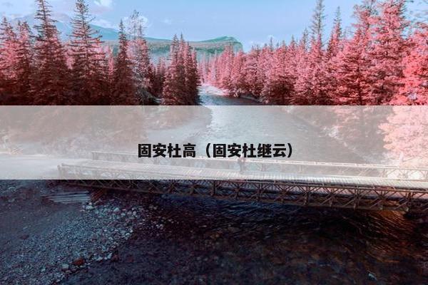 电话