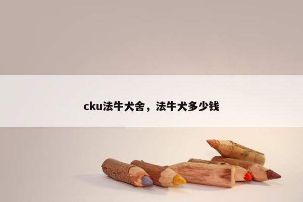 cku法牛犬舍,法牛犬多少钱