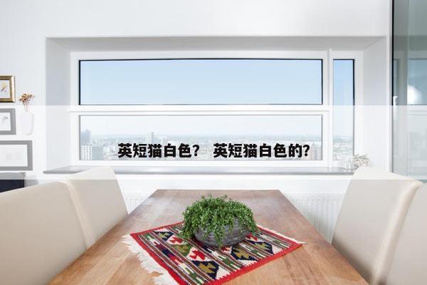 英短猫白色? 英短猫白色的?