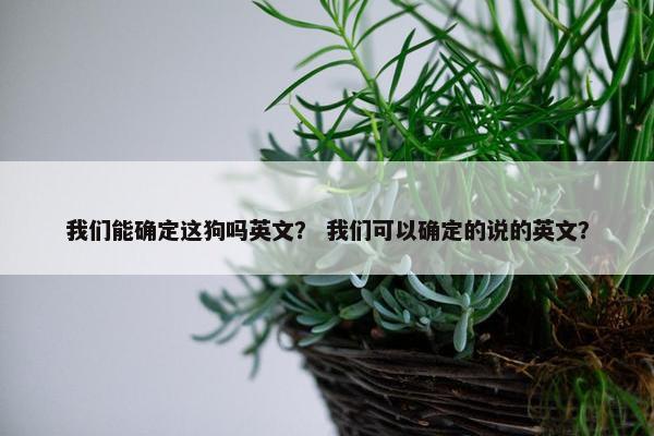 我们能确定这狗吗英文? 我们可以确定的说的英文?