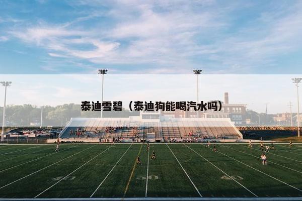 泰迪雪碧(泰迪狗能喝汽水吗)
