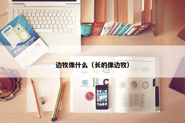 边牧像什么(长的像边牧)