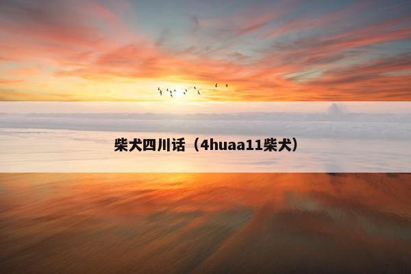 柴犬四川话(4huaa11柴犬)