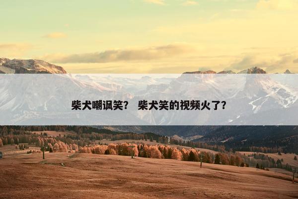 柴犬嘲讽笑? 柴犬笑的视频火了?