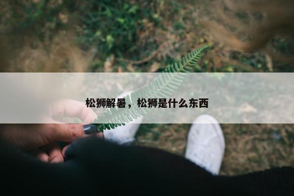 松狮解暑，松狮是什么东西