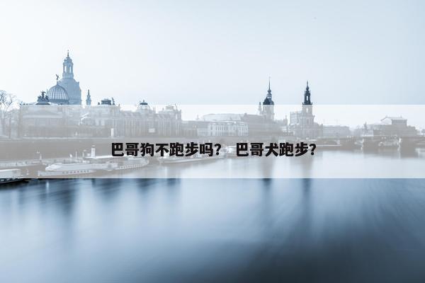 巴哥狗不跑步吗? 巴哥犬跑步?