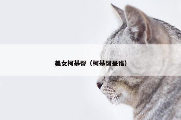 美女柯基臀(柯基臀是谁)