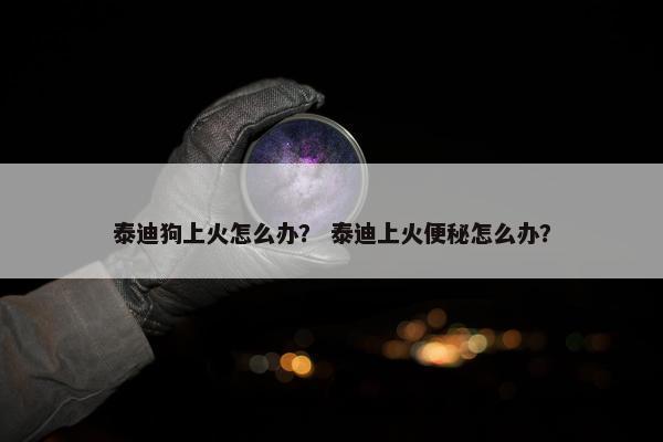 泰迪狗上火怎么办? 泰迪上火便秘怎么办?