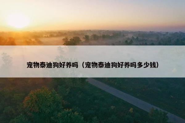 宠物泰迪狗好养吗(宠物泰迪狗好养吗多少钱)