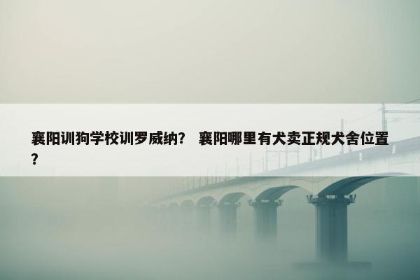 襄阳训狗学校训罗威纳? 襄阳哪里有犬卖正规犬舍位置?