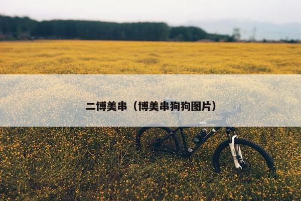 二博美串(博美串狗狗图片)