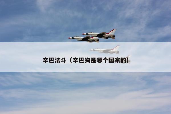 辛巴法斗(辛巴狗是哪个国家的)