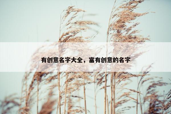 有创意名字大全,富有创意的名字