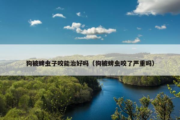 狗被蜱虫子咬能治好吗(狗被蜱虫咬了严重吗)