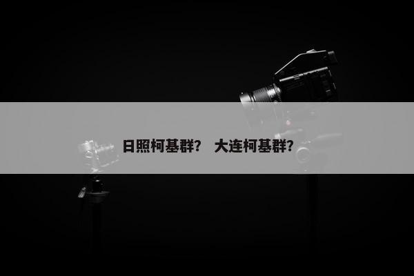 日照柯基群? 大连柯基群?