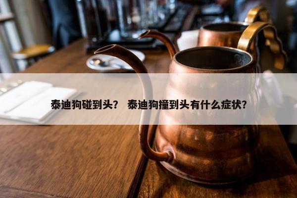 泰迪狗碰到头? 泰迪狗撞到头有什么症状?