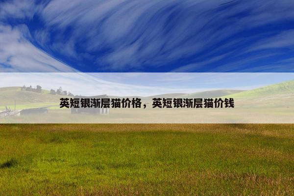 英短银渐层猫价格,英短银渐层猫价钱