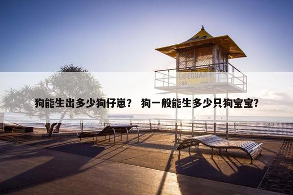 狗能生出多少狗仔崽? 狗一般能生多少只狗宝宝?