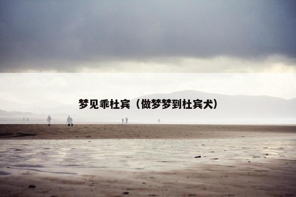 梦见乖杜宾（做梦梦到杜宾犬）