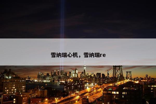 雪纳瑞心机,雪纳瑞re
