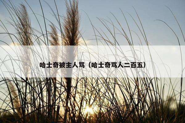 哈士奇被主人骂（哈士奇骂人二百五）