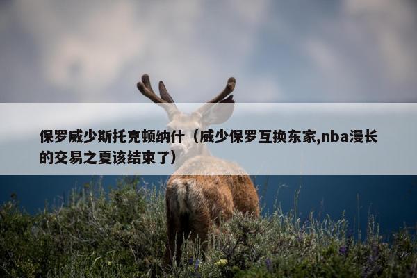保罗威少斯托克顿纳什(威少保罗互换东家,nba漫长的交易之夏该结束了)