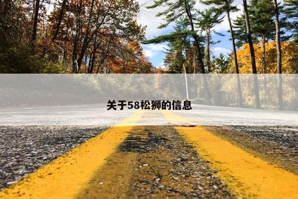 关于58松狮的信息