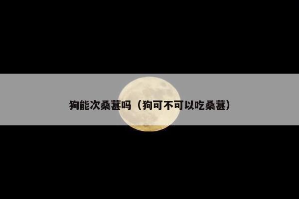 狗能次桑葚吗(狗可不可以吃桑葚)