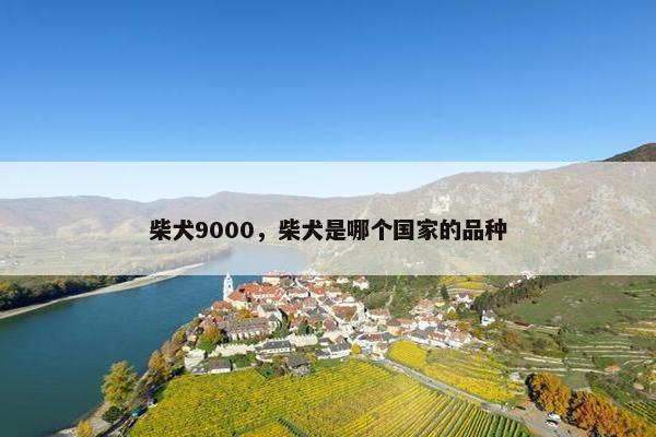 柴犬9000,柴犬是哪个国家的品种