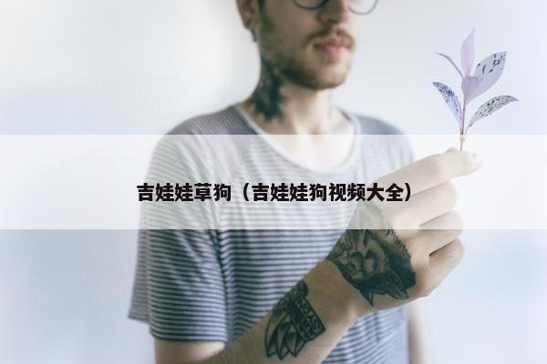 吉娃娃草狗(吉娃娃狗视频大全)
