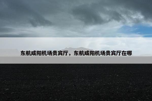 东航咸阳机场贵宾厅,东航咸阳机场贵宾厅在哪